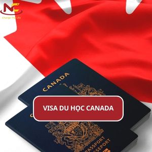 Visa du học Canada 2024 và cách xin nhanh chóng, đỗ 100%
