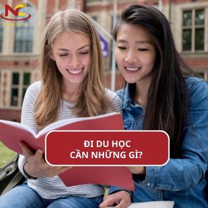 [2024] Đi du học cần những gì? Cập nhật điều kiện hồ sơ mới nhất