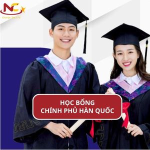 Xin học bổng chính phủ Hàn Quốc 2024 khó không và kinh nghiệm