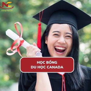 Xin học bổng du học Canada cần những gì và những điều cần biết