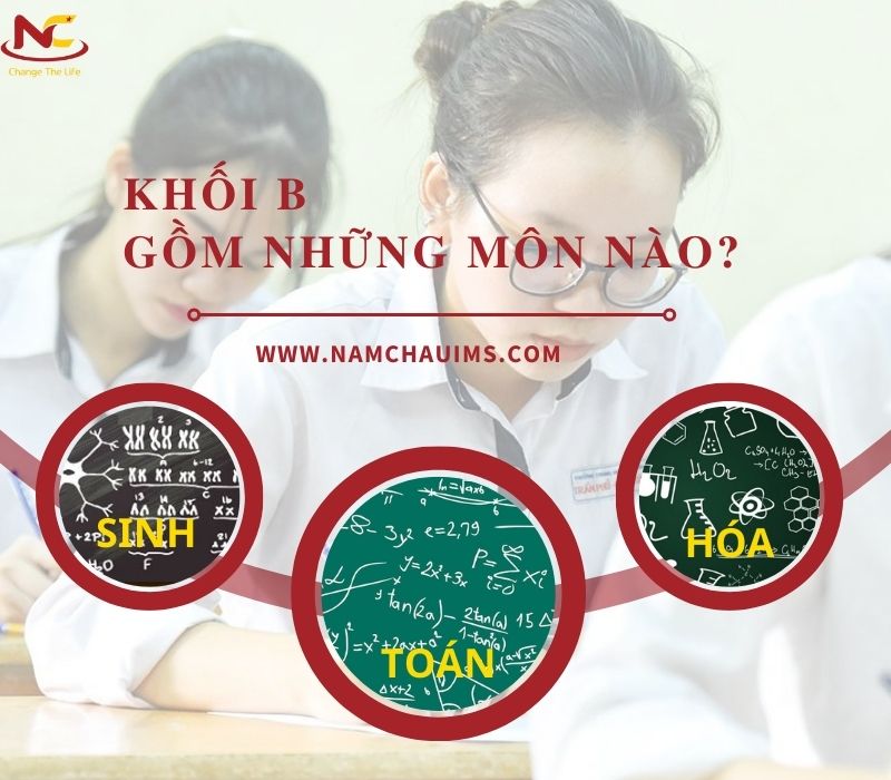 khối b môn gì khối b môn gì