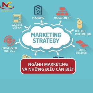 Ngành Marketing là gì? Thi khối nào? Trường nào? Ra làm gì?
