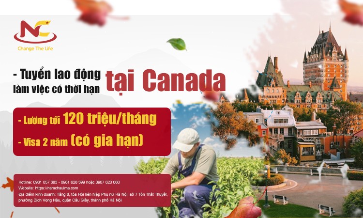 tuyển lao động làm việc tại canada