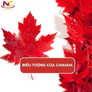 Biểu tượng Canada ấn tượng nhất mà bạn có thể chưa biết