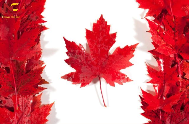 biểu tượng của canada biểu tượng của canada