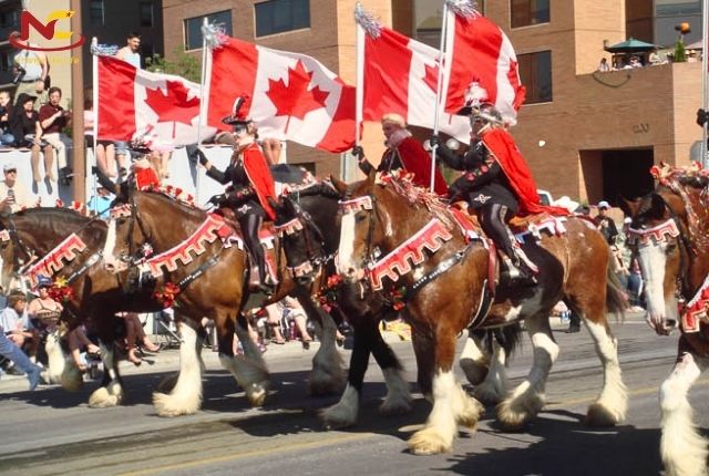 biểu tượng nước canada biểu tượng nước canada