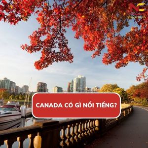 Canada nổi tiếng về gì? Top 9 những điều thú vị chỉ có ở Canada