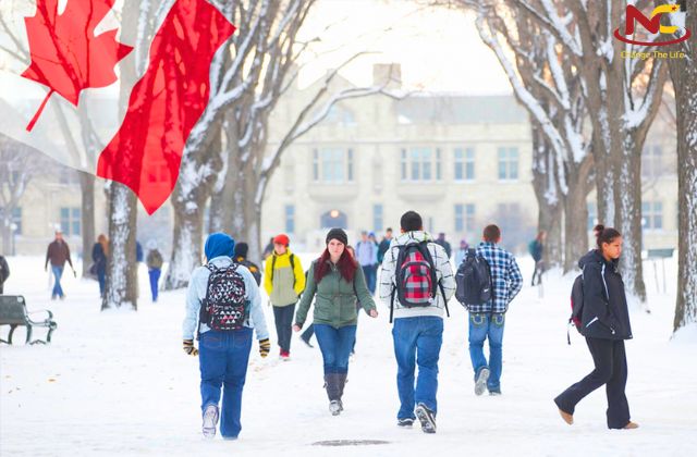 canada có tuyết không canada có tuyết không