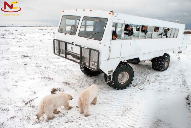 du lịch manitoba du lịch manitoba
