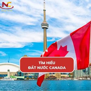 Canada thuộc châu nào? Tìm hiểu về đất nước Canada xinh đẹp