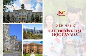 TOP 10 trường đại học Canada đáng học nhất và cách lựa chọn
