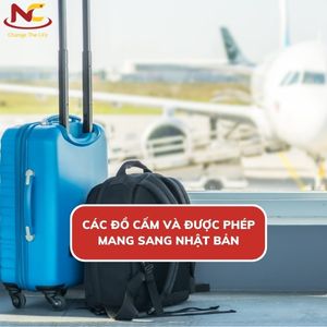 Danh sách những đồ được mang sang Nhật theo quy định mới
