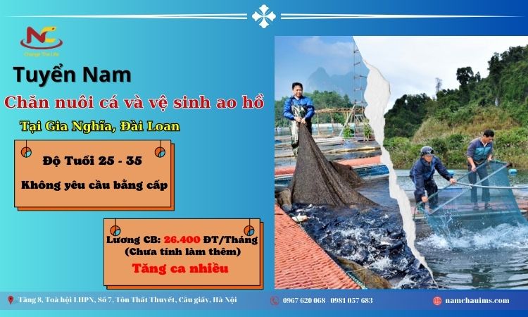 Namchauims tuyển lao động đi Đài chăn nuôi cá và vệ sinh ao hồ