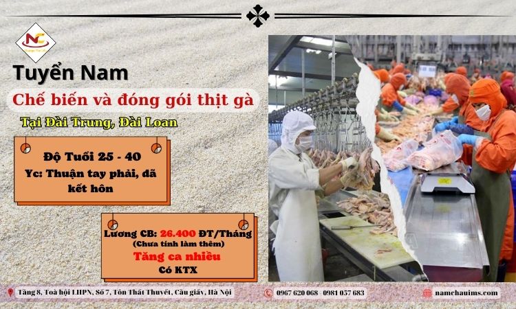 Tuyển nam lao động Đài Loan đóng gói chế biến thịt gà