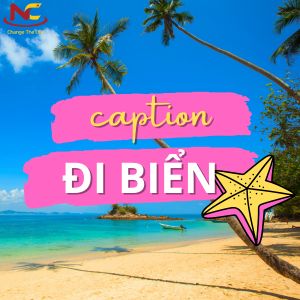 100+ cap đi biển hay, status đi biển hài hước nhận bão like