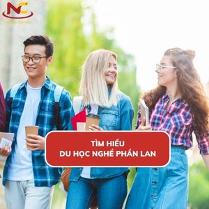 Du học nghề Phần Lan 2024 nên học ngành gì và 6 điều cần biết