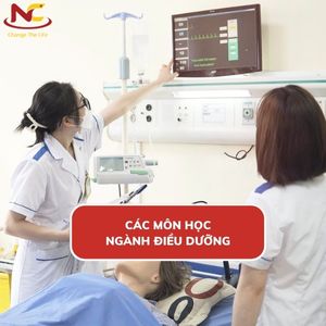 Ngành điều dưỡng học những gì? Các môn học ngành điều dưỡng