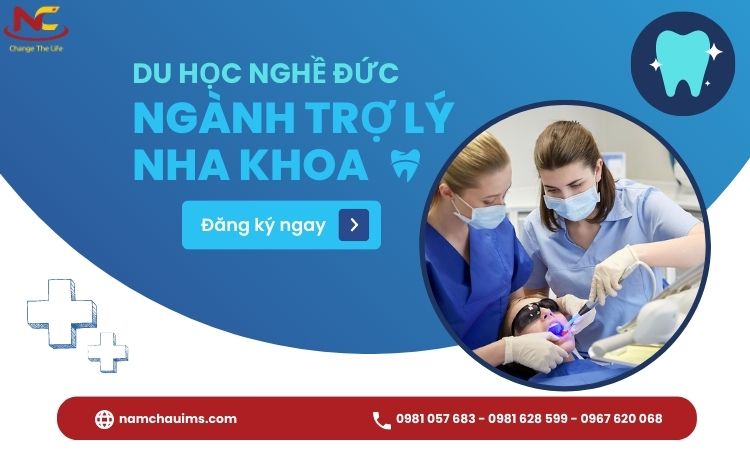 du học trợ lý nha khoa tại đức du học trợ lý nha khoa tại đức