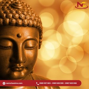 120+ Caption, STT mùng 1 đầu tháng hài hước, cầu may (Mới nhất)