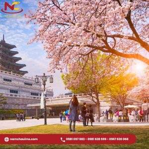 25+ Địa điểm du lịch Hàn Quốc đẹp và nổi tiếng nhất (Mới Update)