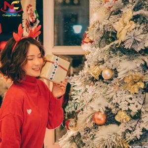 1000+ Cap Noel hay, Stt giáng sinh hài hước 2023 thả thính