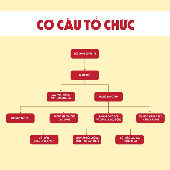 cơ cấu tổ chức năm châu ims