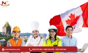 Định cư Canada diện tay nghề 2024: Chi phí và kinh nghiệm