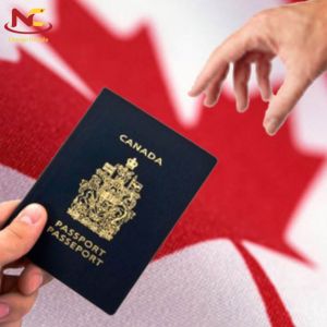 TOP 4 visa định cư Canada mới nhất năm 2024