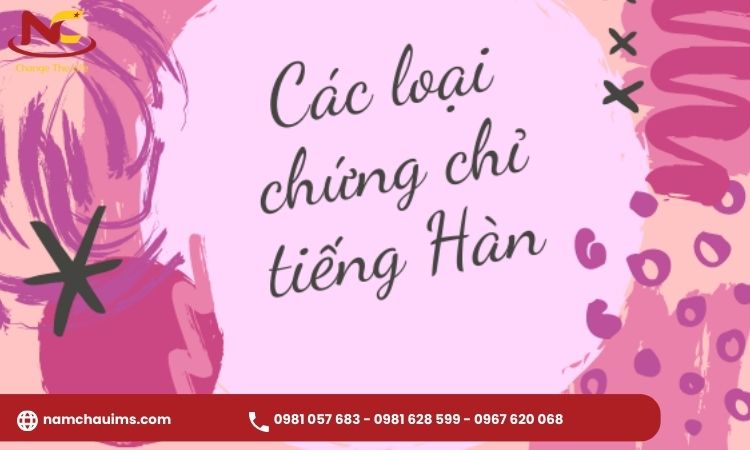 chứng chỉ tiếng hàn quốc tế