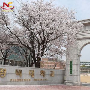 Trường đại học Pyeongtaek University – Học phí, học bổng ra sao?