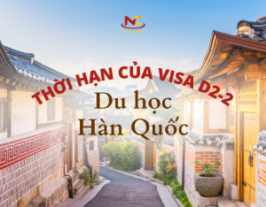 Visa D2-2 có thời hạn bao lâu? Cần chuẩn bị những hồ sơ gì?
