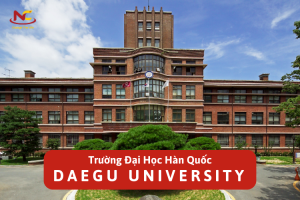 Trường đại học Daegu Hàn Quốc – Daegu University – 대구대학교