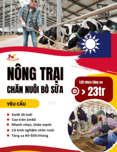 Tuyển 2 Nam đơn hàng Nông nghiệp Trại chăn nuôi bò sữa