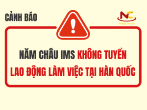 Cảnh báo: Công ty Năm Châu IMS không tuyển lao động làm việc tại Hàn Quốc.